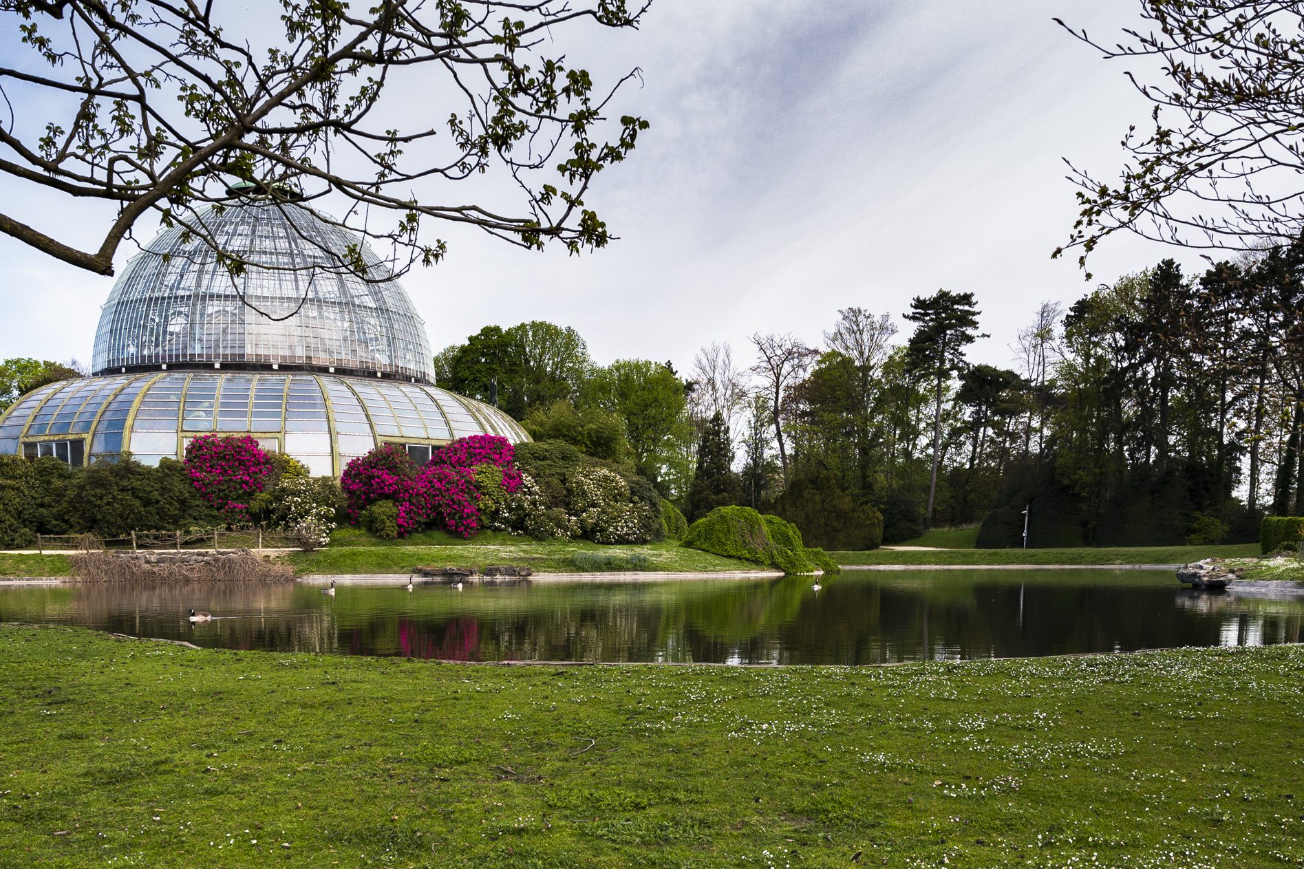 Domaine Royal de Laeken - Jardin botanique