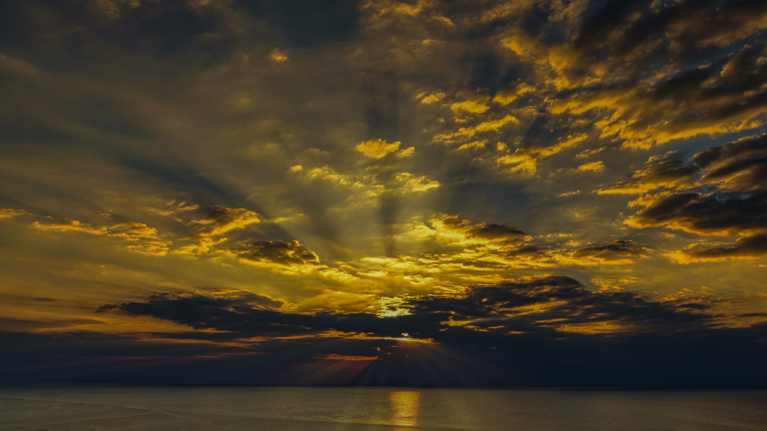 plage de criel sur mer au coucher de soleil