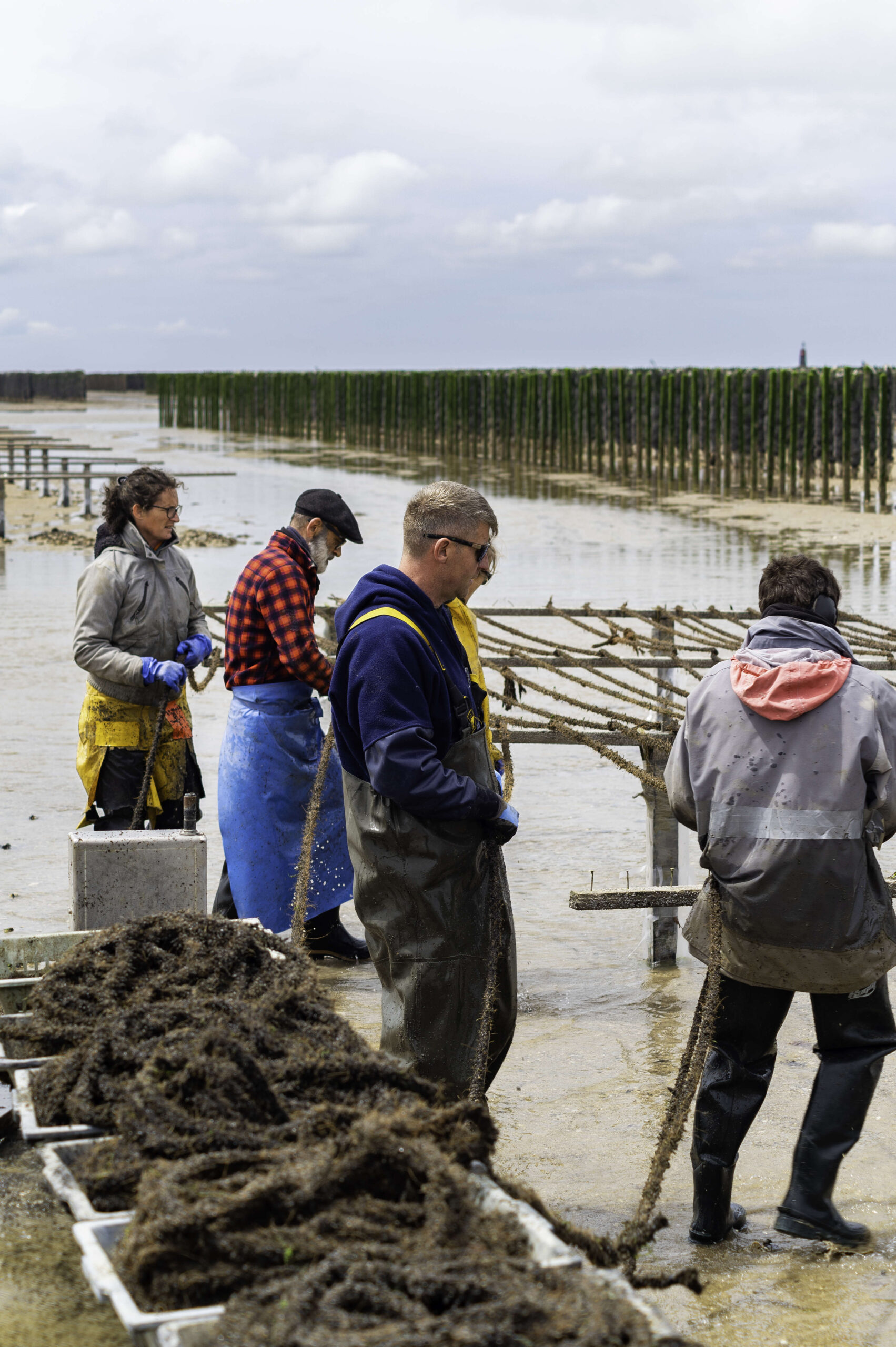 installation des cordes sur les chantiers