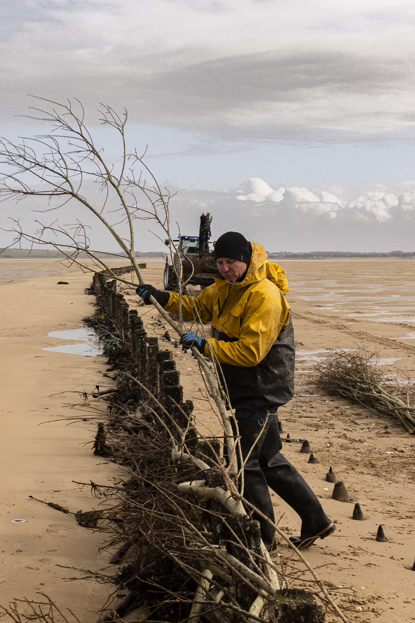 tissage des branches de saule pour réparer les parois de la pêcherie