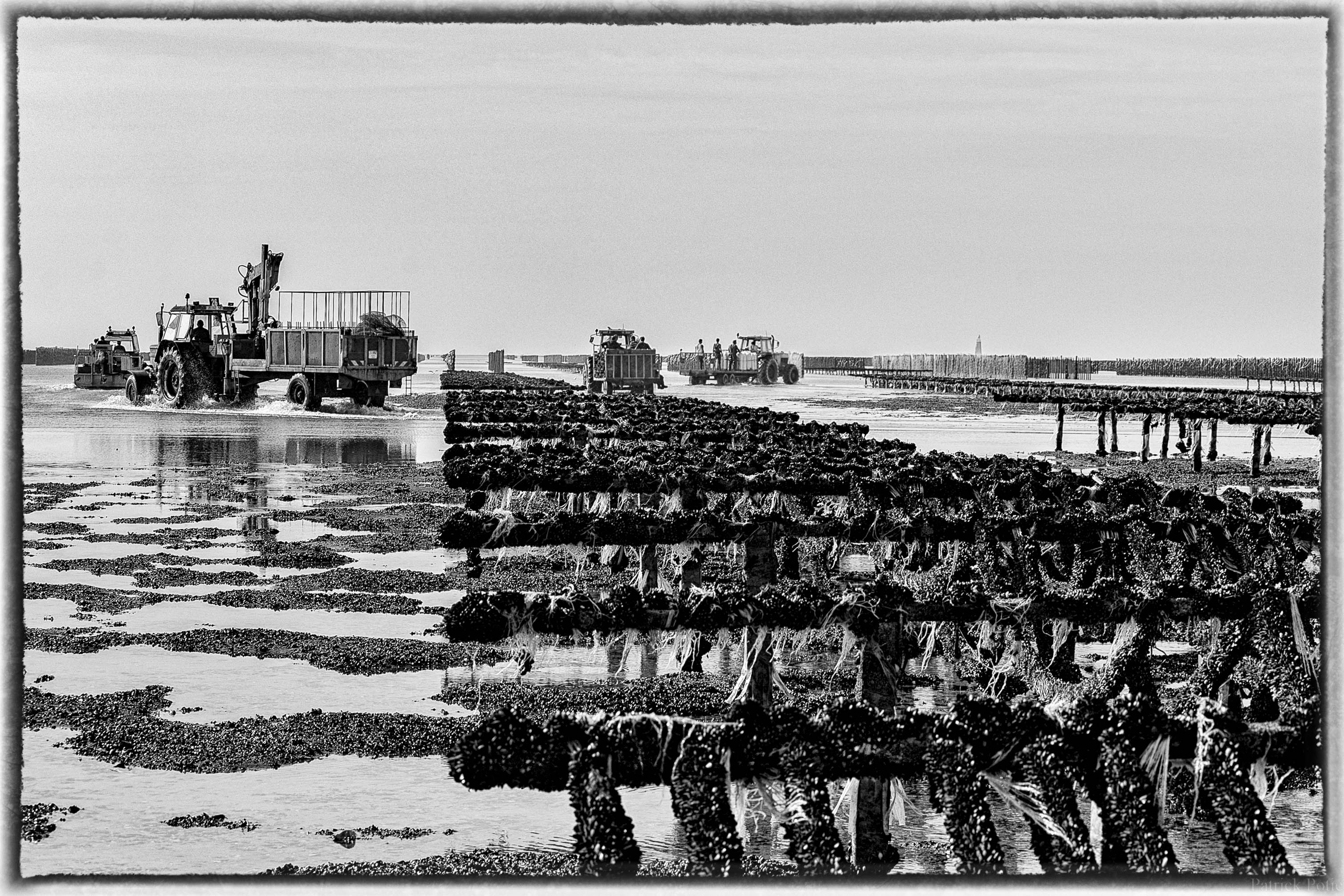 chantiers recouvert par les cordes de moules