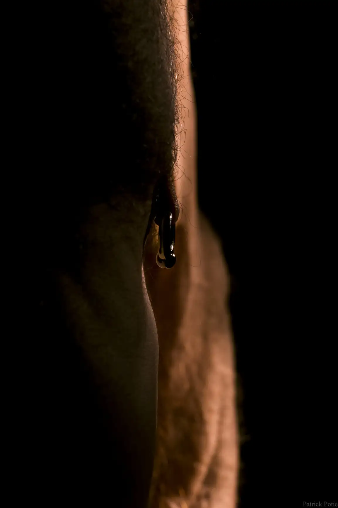 sein masculin avec piercing, mise en valeur par une lumière chaude sur fond sombre
