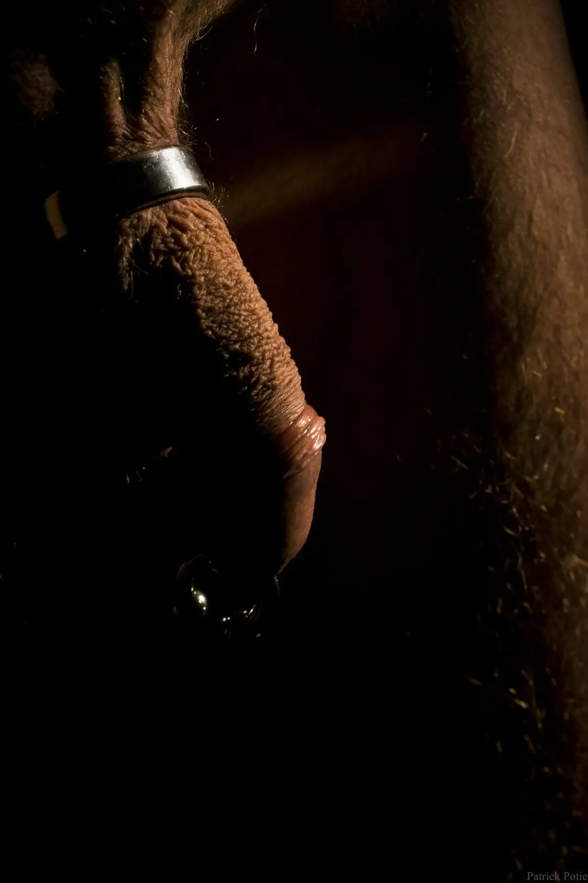 Penis masculin montrant un piercing intime et un anneau métallique dans une lumière tamisée