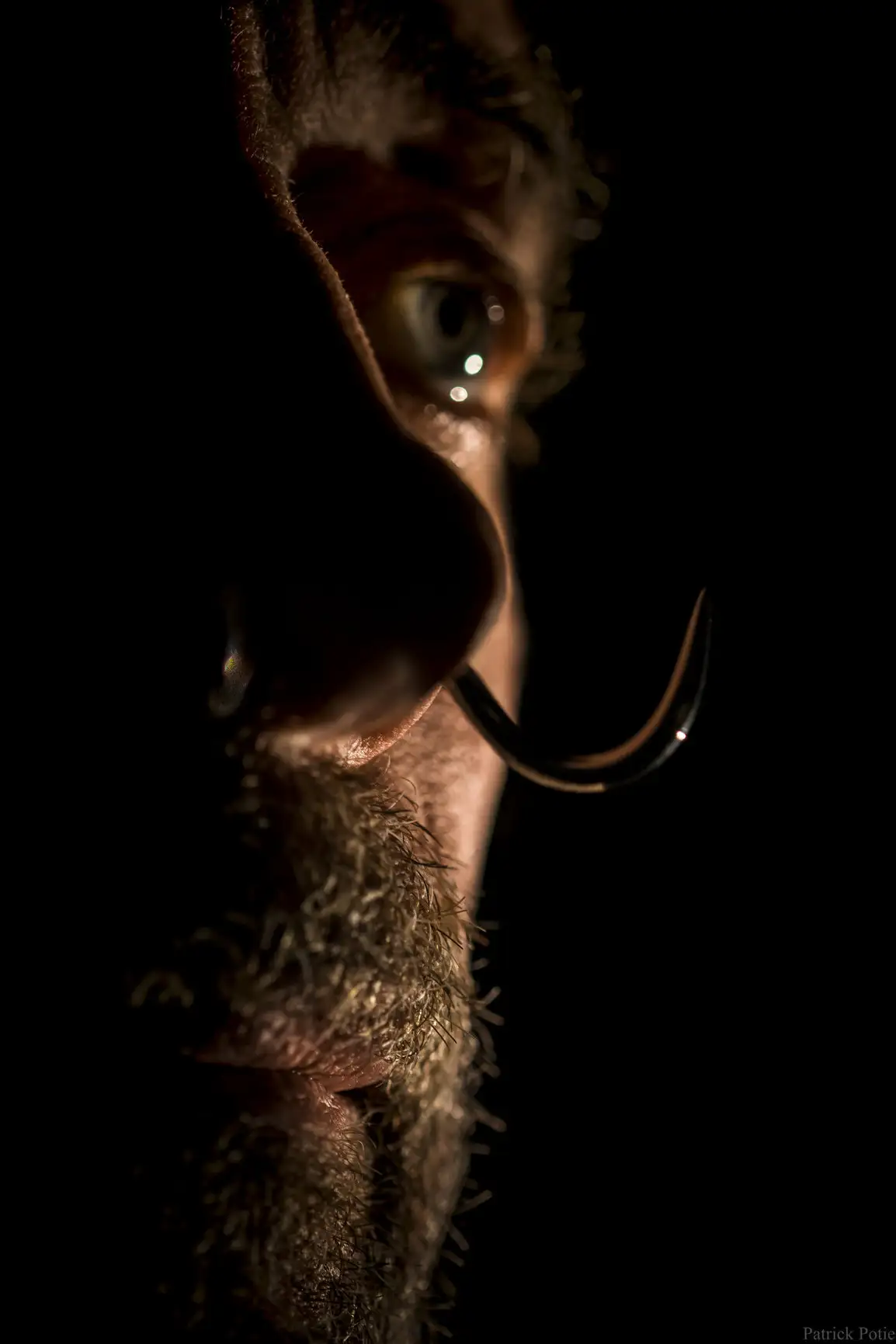 Visage d'homme de profil, piercing au nez, illuminé par un éclairage latéral spectaculaire.