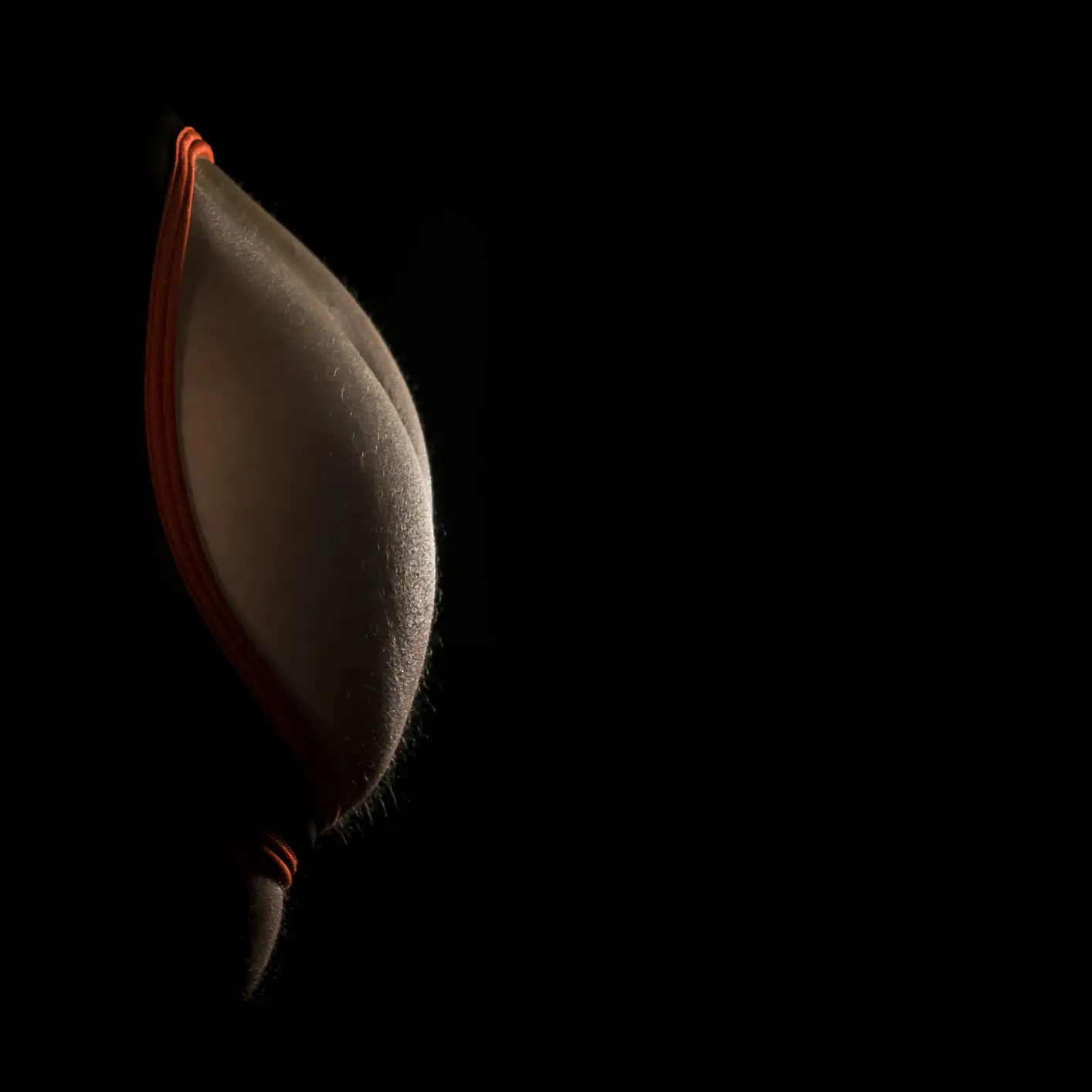 Fesses d'un homme dans un jock strapp sur un fond sombre.